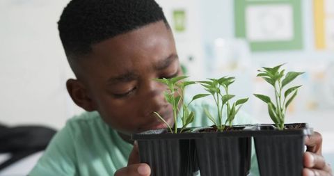 African male teen inspecting seedlings holding tray, learning classroom gardening