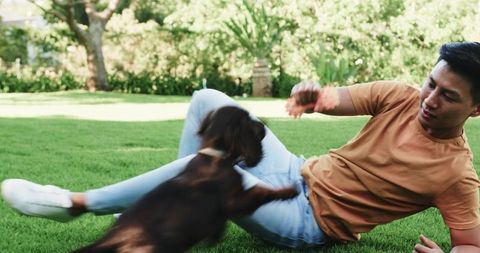 Young man playing with energetic dog on sunny lawn in garden