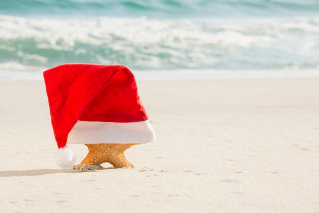 Starfish covered with santa hat kept on sand at beach