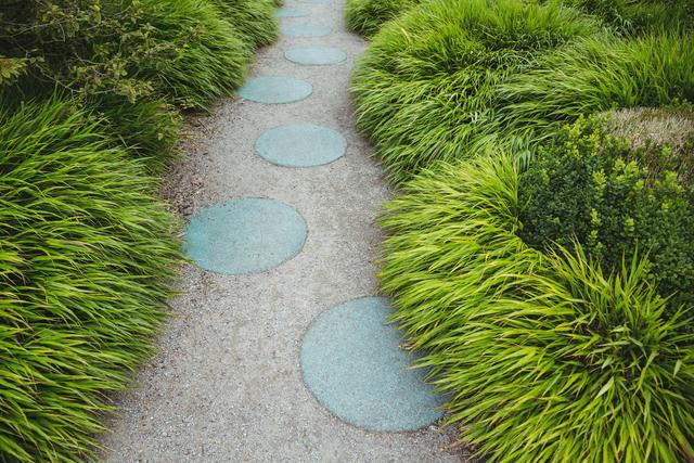 This image shows a serene garden path with round stepping stones surrounded by lush green plants. Ideal for use in landscaping design presentations, gardening blogs, outdoor living magazines, and nature-themed websites. It conveys a sense of tranquility and natural beauty, perfect for promoting garden products or outdoor relaxation spaces.