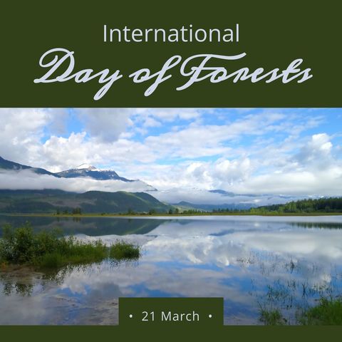 Serene Landscape Celebrating International Day of Forests - Download Free Stock Templates Pikwizard.com