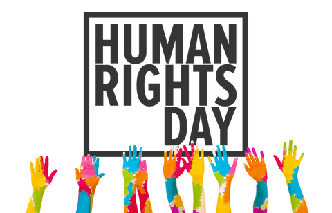 Colorful hands celebrating human rights day on transparent background