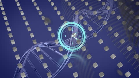 Digital Clock Integration with DNA and Data Cubes