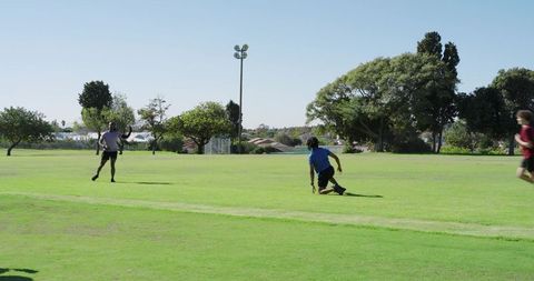 Diverse male friends playing ball on sunny park lawn, diving, chasing, teamwork