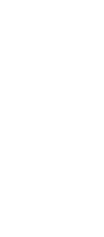 Transparent Silhouette of Woman on Isolated Vector Background - Download Free Stock Videos Pikwizard.com
