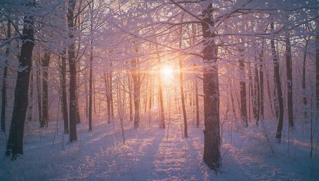 Golden Sunrise Through Snow-Covered Winter Forest