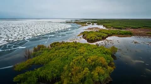 Drone Flying Over Frozen Marsh with Unique Ice Patterns in Ukraine