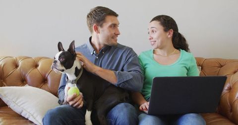 Couple managing finances online with dog on couch