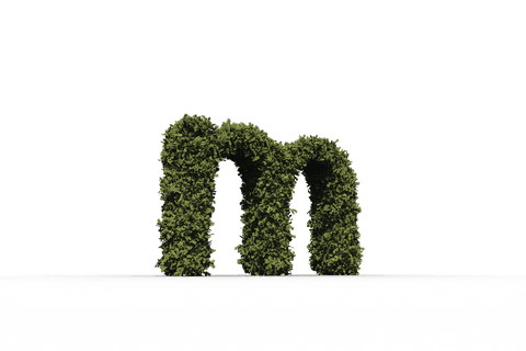 Transparent Leafy Green M Letter on Isolated Background - Download Free Stock Videos Pikwizard.com