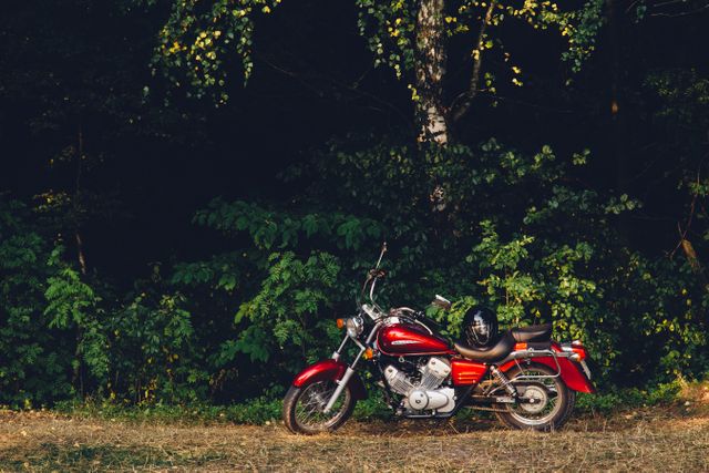 Red motorcycle parked on grassy area in dense, dark forest during sunset. Ideal for use in themes related to travel, adventure, relaxation, and nature. Perfect for promoting outdoor lenses, vehicle maintenance products, or road trip planning. Conveys freedom and serene atmosphere.