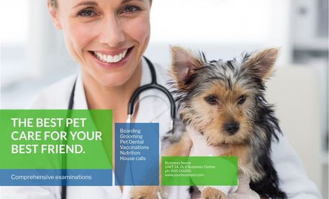 smiling veterinarian holding dog for pet care promotion - Download Free Stock Templates Pikwizard.com