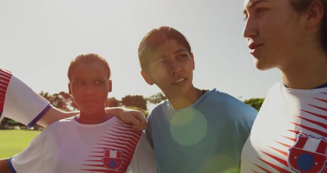 Female Soccer Team Huddling During Meeting in Sunlight - Download Free Stock Images Pikwizard.com