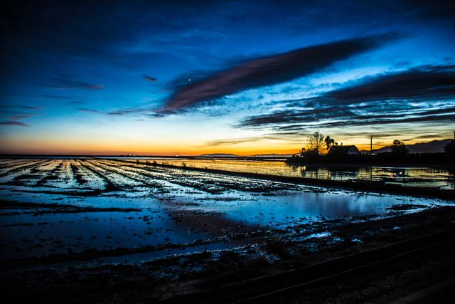 Sunset Over Flooded Rice Fields with Reflective Water - Download Free Stock Photos Pikwizard.com