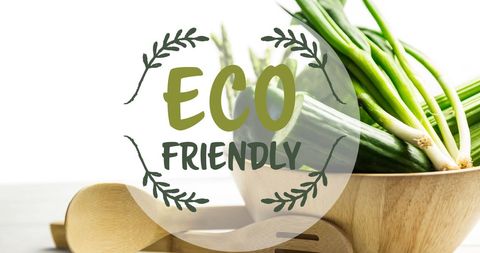 Eco-Friendly Concept with Fresh Organic Vegetables in Wooden Bowl