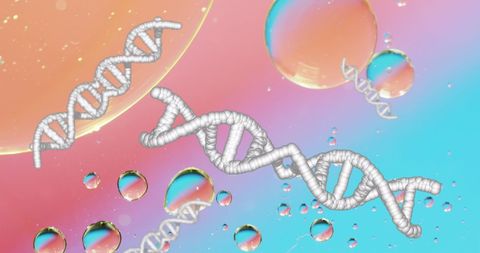 Colorful dna strands with digital interface concept