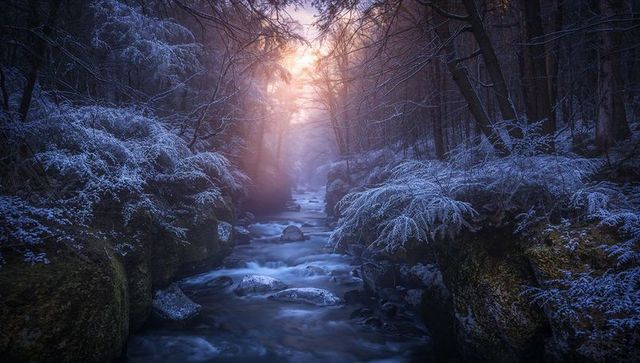 Misty Sunbeams Piercing Frozen Forest Gorge with Flowing Stream Snow-Dusted Rocks and Moss