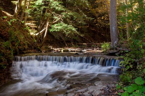 Tranquil Woodland Waterfall in Serene Forest