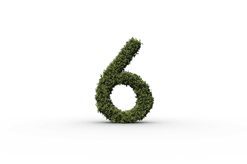 transparent number 6 with green leaf texture - Download Free Stock Videos Pikwizard.com