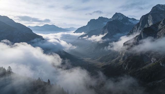 Fog rolling through alpine valley between jagged peaks and pine-covered cliffs at dawn