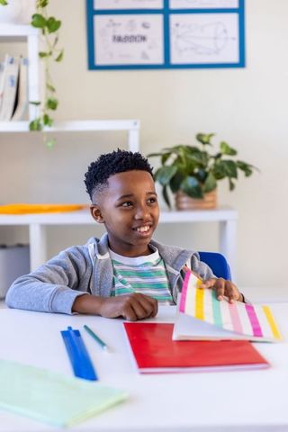 African american boy studying at classroom desk with colorful notebook, ruler and plant