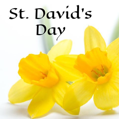 st. david's day vibrant yellow daffodils composition - Download Free Stock Templates Pikwizard.com