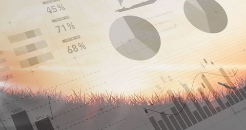 Data Analysis with Airplane Takeoff Silhouette at Sunset - Download Free Stock Images Pikwizard.com