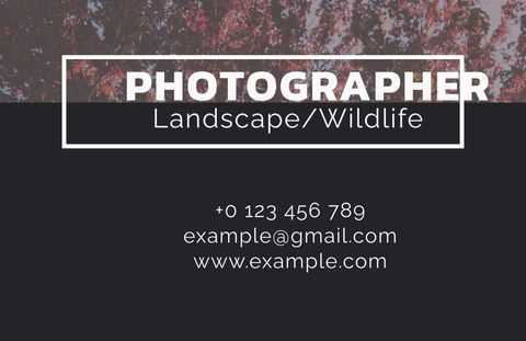 Photography Business Card Design with Nature Vibe - Download Free Stock Templates Pikwizard.com