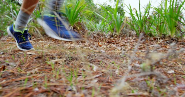 Close Up of Running Shoes on a Forest Trail - Download Free Stock Images Pikwizard.com