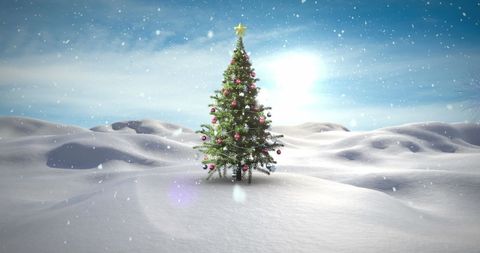 Lone Christmas Tree Shimmering in Snowy Wonderland