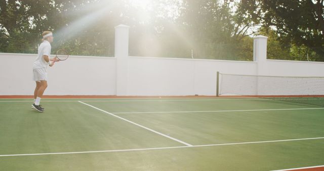 Tennis Player Preparing to Serve on Court with Sunlight - Download Free Stock Images Pikwizard.com