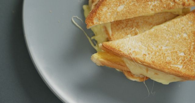 The image features a close-up view of a grilled cheese sandwich with gooey, melted cheese on a grey plate. This stock photo is great for use in food blogs, restaurant menus, recipe books, and social media posts highlighting comfort food or easy meals.