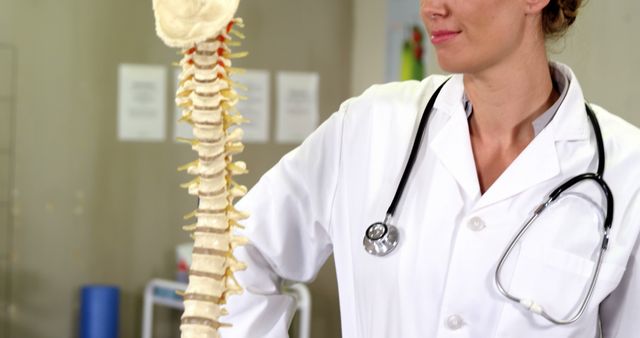 Female doctor demonstrating spine anatomy model in medical office while wearing a white coat and stethoscope provides for use in medical education, healthcare training, patient education content, or promotional materials for medical clinics or hospitals.