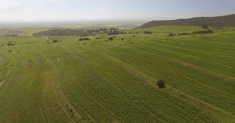 Idyllic Transparent Green Landscape of Lush Fields - Download Free Stock Videos Pikwizard.com