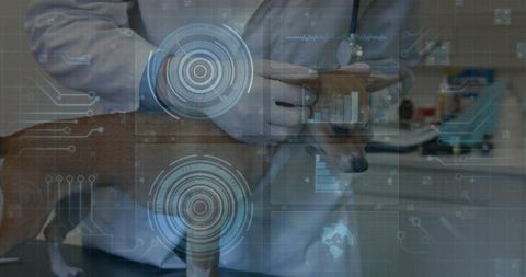 Veterinarian using augmented reality diagnostics holding small dog on exam table