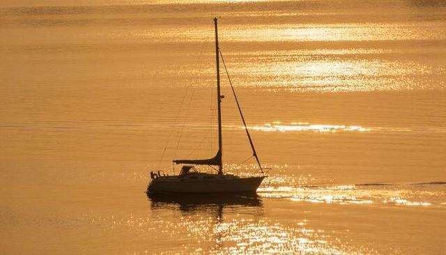 Golden sunset sailboat gliding across calm bay with shimmering reflection and silhouette