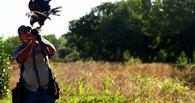 Falconer with Bird of Prey in Nature - Download Free Stock Images Pikwizard.com