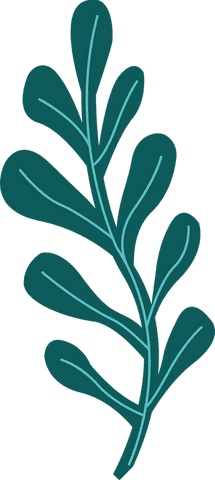 Transparent green botanical sprig illustration with elongated leaves