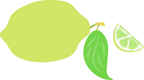 Transparent lemon illustration with leaf and wedge slice