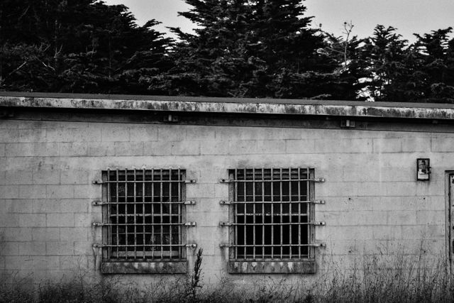 This black and white scene features an abandoned industrial building with barred windows and overgrown vegetation, giving off an eerie and desolate vibe. It can be used to convey themes of urban decay, neglect, or to create a moody and unsettling atmosphere in projects such as horror movie backdrops, dystopian scenes, or artistic compositions reflecting decay and abandonment.