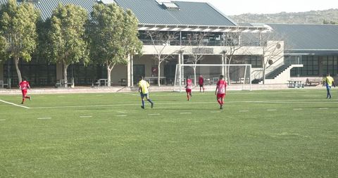 School Soccer Team Competing in Vibrant Outdoor Match