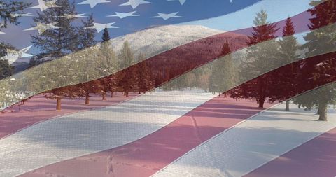 Double Exposure of American Flag Over Winter Forest Scene