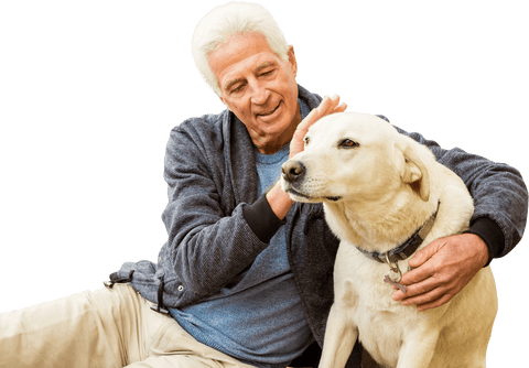 elderly man enjoying moment with dog transparent background - Download Free Stock Videos Pikwizard.com