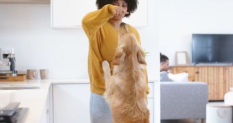 Woman petting golden retriever in bright modern kitchen while partner relaxes on sofa