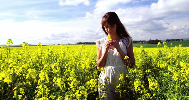 Woman in White Dress Walking in Blooming Field of Yellow Flowers - Download Free Stock Images Pikwizard.com