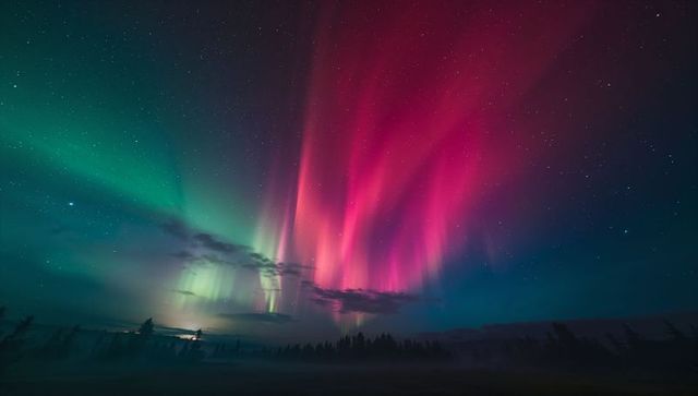 Vibrant magenta and green aurora over misty forest night sky