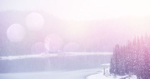 Serene Winter Wonderland with Snow-Covered Trees Near Tranquil Lake - Download Free Stock Images Pikwizard.com