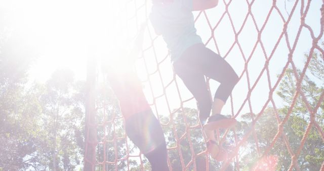 Athletes Climbing Rope Net in Outdoor Training - Download Free Stock Images Pikwizard.com