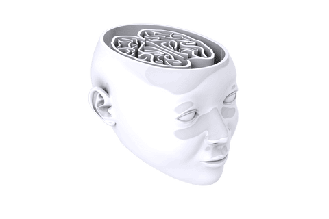 transparent human head and brain labyrinth illustration - Download Free Stock Videos Pikwizard.com