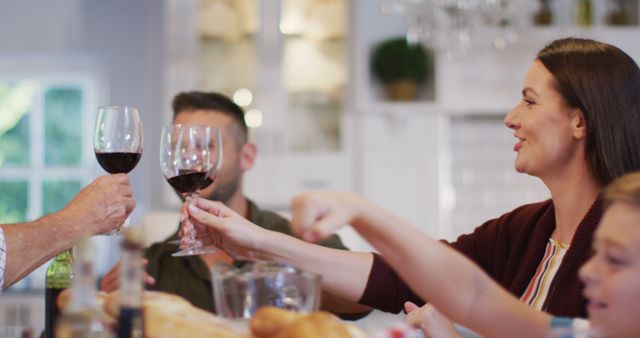 Group of Friends Toasting with Red Wine at a Casual Gathering - Download Free Stock Images Pikwizard.com