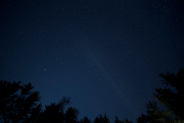 Clear Night Sky with Stars Visible Above Tree Line - Download Free Stock Photos Pikwizard.com